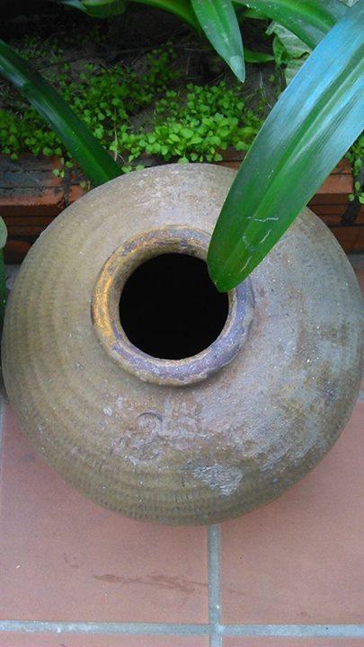 Thao Nguyen Phat Homestay Hoi An Exteriör bild